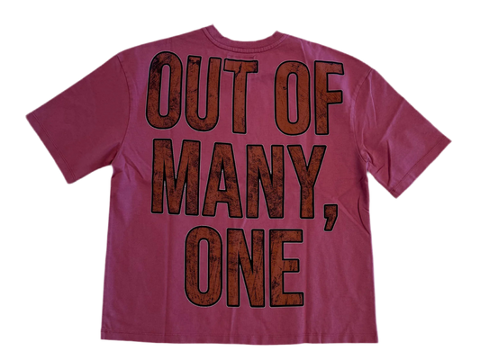 Godspeed Space Traveler Tee (Pink)