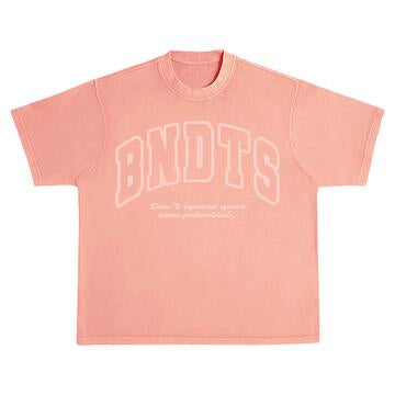 BANDITS Potential S/S Tee (mauve)