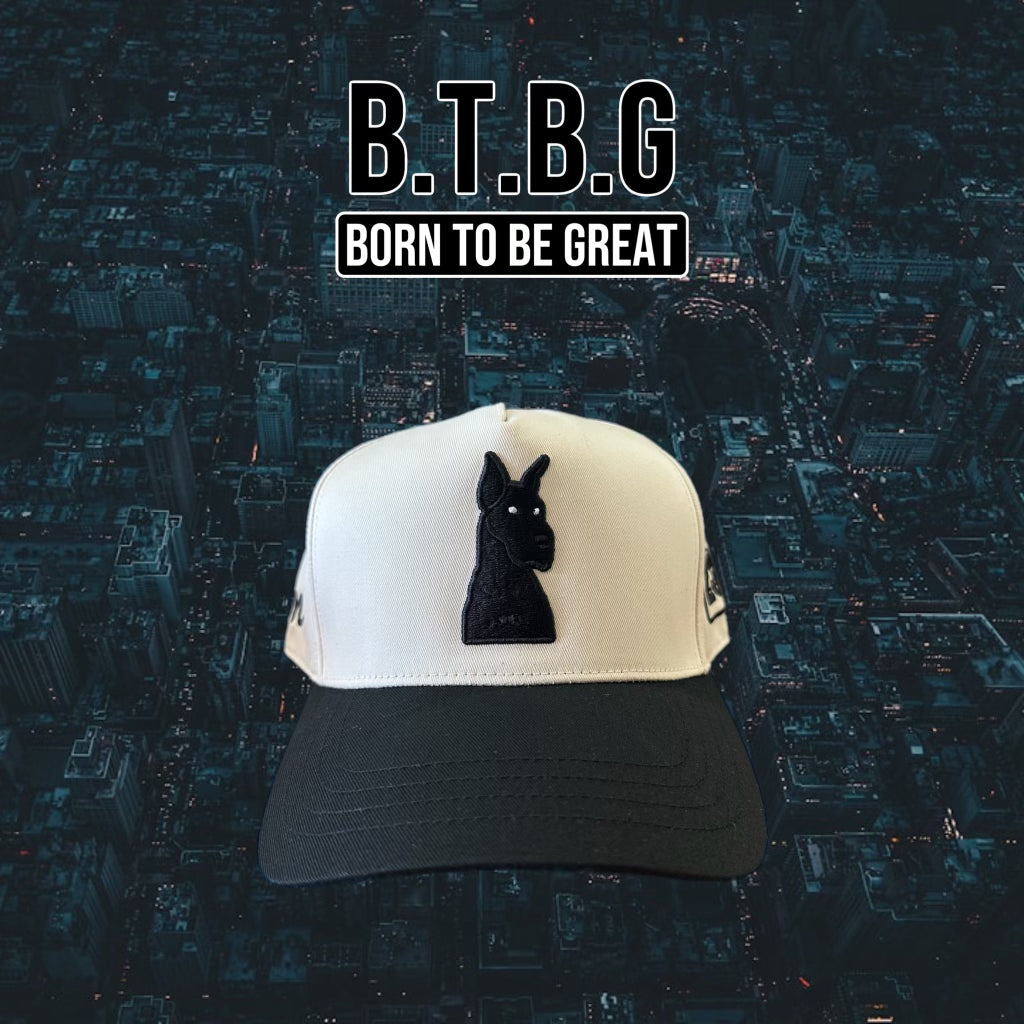 B.T.B.G THE CITY "GREAT DANE" BEIGE AND BLACK SNAPBACK