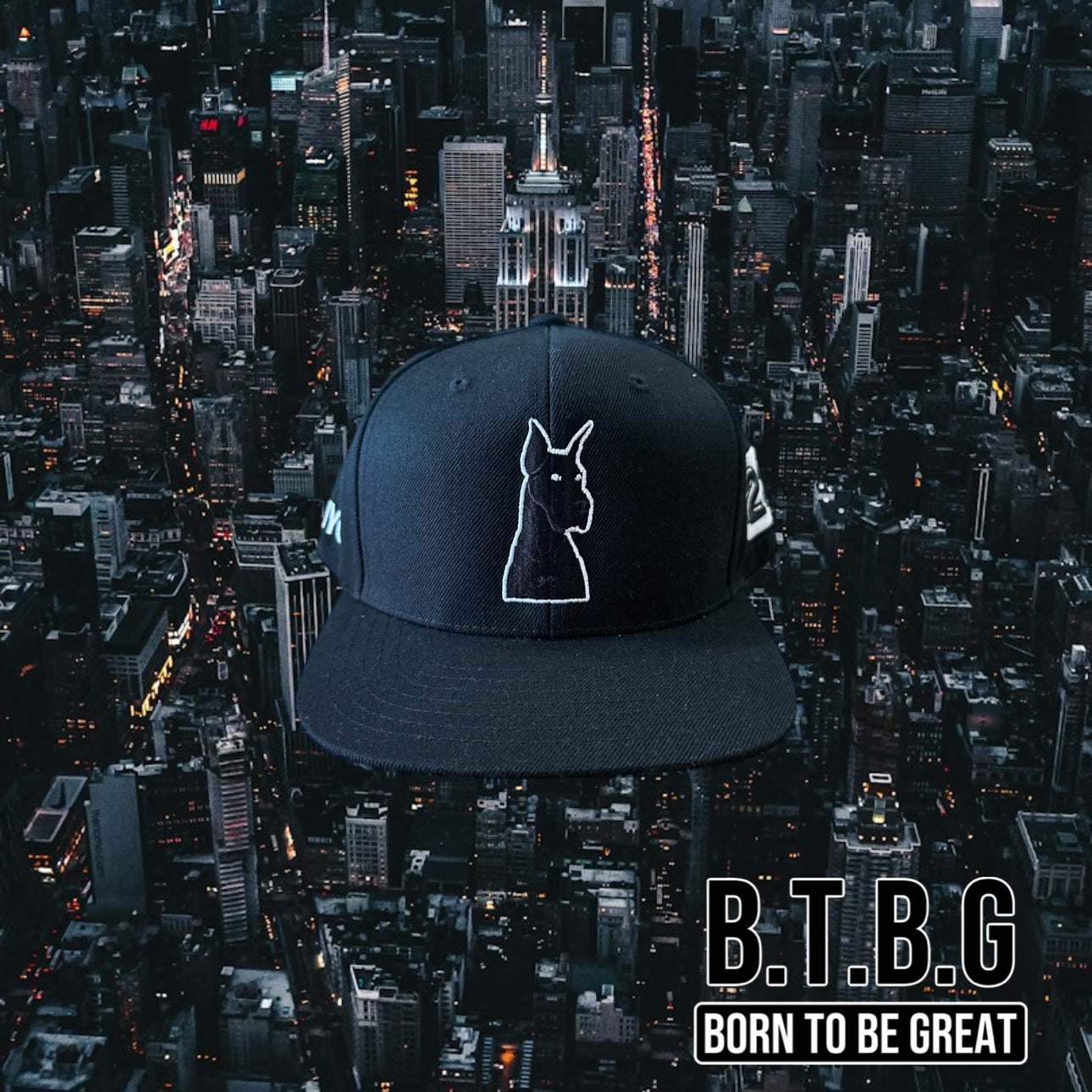 B.T.B.G EMPIRE STATE 4 PK SNAPBACK COLLECTION