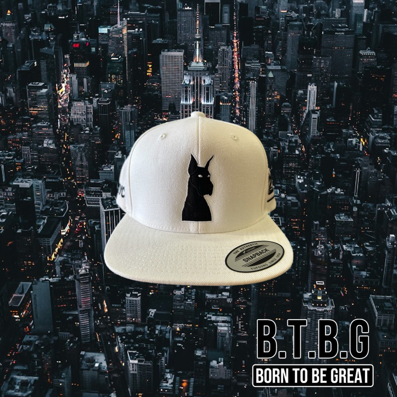 B.T.B.G EMPIRE STATE 4 PK SNAPBACK COLLECTION